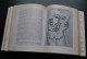 André Malraux Les Voix Du Silence Essais De Psychologie De L'art - La Galerie De La Pleiade Nrf 1956 Musée Imaginaire... - La Pleiade