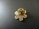 Old Pin Schweiz Suisse Svizzera Switzerland - Lions Club Engadin 1997 1998 - Zonder Classificatie