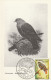 Série Oiseaux Malgaches 1er Jour 12 Août 1963 TANANARIVE Etat Exceptionnel - Zangvogels