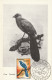 Série Oiseaux Malgaches 1er Jour 12 Août 1963 TANANARIVE Etat Exceptionnel - Pájaros Cantores (Passeri)