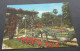 Marseille - Parc Borely - La Roseraie - Edition TARDY, Marseille - # 156 - Parcs Et Jardins