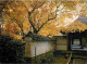 Japon - Kyoto - Part Of The Garden Of Dai-sen-in - Daitokuji Temple - Carte Neuve - CPM - Voir Scans Recto-Verso - Kyoto