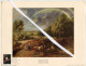 Delcampe - Rubens Verzameling - Postzegels, Blokken, Fdc's , Briefkaarten En Maximum Kaarten En Andere Op Bladen Met Uitleg In Nl - Collezioni