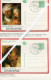 Delcampe - Rubens Verzameling - Postzegels, Blokken, Fdc's , Briefkaarten En Maximum Kaarten En Andere Op Bladen Met Uitleg In Nl - Sammlungen