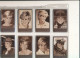 TE 47 / TELECARTE  LOT DE 8 - LADY DIANA - Ontwikkeling