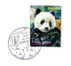 CAT OURS : PARIS ANIMAUX DISPARUS OU MENACES / PANDA GEANT (20-6-2006)  #560# - Bears