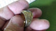 B17/ BAGUE AIGLR SUR LES COTES - Ringe