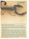 Astrologie - Scorpion - Illustration S Lazourenko - CPM - Carte Neuve - Voir Scans Recto-Verso - Astrologia