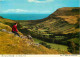 Irlande Du Nord - Antrim - The Vale Of Glenariff - CPM - Voir Scans Recto-Verso - Antrim