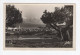 1956. YUGOSLAVIA,CROATIA,JELSA,HVAR ISLAND,POSTCARD,USED - Yougoslavie