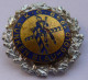 Karnevalsgesellschaft, Funken Blau-Gold 1949 - Associations