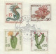 Monaco Poisson Hippocampe Cactus - FDC