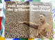 Affichette De Propagande : Jede Stimme Dem Führer Des Grösseren Deutschland - 1938 - Original - Pas Une Copie - Hitler - Manifesti