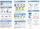 Air Tahiti / ATR 42 - ATR 72 / Consignes De Sécurité / Safety Card - Mai 2014 - Safety Cards