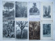 Delcampe - AGRICULTURE - ARBRES REMARQUABLES - Lot De 46 Cartes - Collezioni E Lotti