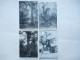 Delcampe - AGRICULTURE - ARBRES REMARQUABLES - Lot De 46 Cartes - Collections & Lots