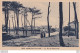 J22-40) MIMIZAN PLAGE - LA ROUTE NATIONALE   - ( 2 SCANS ) - Mimizan Plage