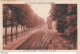 D5-82) GRISOLLES (TARN ET GARONNE) VOIES FERREES ET LA GARE - (2 SCANS) - Grisolles