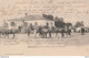 D5-82) NEGREPELISSE - TARN ET GARONNE - DEPOT DE REMONTE DE LAVERGNE - ANIMEE - CHEVAUX  - EN  1903 - ( 2 SCANS ) - Negrepelisse