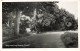 PAYS-BAS - Weg Naar Laag Soeren - Dieren - Vue Sur Une Route - Un Chemin Dans La Forêt - Carte Postale Ancienne - Rheden