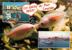 11 - Leucate - Port Leucate - Multivues - Poissons Rouges - Bateaux - CPM - Voir Scans Recto-Verso - Leucate