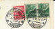 Marche-senigallia La Rotonda Veduta Panoramica Anni 40 (v.retro) - Senigallia