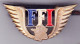 FFI. Forces Françaises De L'Intérieur. Insigne Général. Peint. Matriculé. Arthus Bertrand. Refrappe Non Marquée. - Esercito