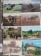 Delcampe - CPSM Thème : Attelage - 100 - 499 Postcards