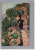 CPA - MONACO  - Les Jardins Exotiques Fleur Plante Flower - Exotic Garden