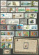 NACIONES UNIDAS GINEBRA COLECCION EN 5 ESCANERS VALOR CAT. 470 EUROS - Unused Stamps