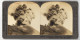 Stereo-Fotografie Keystone View Co., Meadville, Ansicht Java, Impressive Magnificence Of A Volcanic Eruption, Vulkan  - Stereo-Photographie