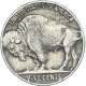 Monnaie, États-Unis, 5 Cents, 1937 - 1913-1938: Buffalo