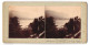 Stereo-Foto Unbekannter Fotograf, Ansicht Isola Bella, Vue Prise Des Carrasses D`Isola Bella  - Stereo-Photographie