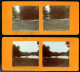 BRUXELLES. Bois De La Cambre. 4 Photographies Stéréo. Collées Sur Carton Fort (recto Verso. 8x17,5cm. - Forêts, Parcs, Jardins
