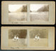 BRUXELLES. Bois De La Cambre. 4 Photographies Stéréo. Collées Sur Carton Fort (recto Verso. 8x17,5cm. - Forêts, Parcs, Jardins