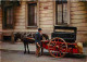 Animaux - Chevaux - Attelage - Piano - Chiens - CPM - Voir Scans Recto-Verso - Pferde