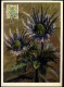 814/22 -MK - Antiteringzegels / Antituberculeux - Portretten Van De Senaat IV / Portraits Du Senat IV - 1934-1951