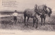 ENVIRONS DE PITHIVIERS - LE LABOUREUR BEAUCERON - CHARRUE - CHEVAUX - POEME CHANSON BEAUCERONNE DE P. BARBIER - 2 SCANS - Pithiviers