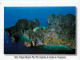 Thailande - Krabi - Aon Maya Beach Phi Phi Islands - Vue Aérienne - Carte Neuve - CPM - Voir Scans Recto-Verso - Tailandia