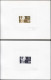 Delcampe - NIGER Epreuves D'Artiste EPA - Collection De 34 épreuves D'artiste Différentes, Signées, Période 1962/1968 - Sonstige & Ohne Zuordnung