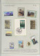 Delcampe - Arbres & Bois Lots & Collections LOT - Les Conifères (Ex. Collection Fuchs), Sur 59 Feuilles D'exposition (incomplète) D - Bäume