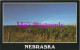 America Postcard - Nebraska. Field Of Crops   DZ41 - Other & Unclassified