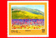 Nuovo - MNH - ITALIA - 2021 - Turismo – Norcia (PG) – Umbria – Panorama Di Castelluccio - Lenticchie - B - 2021-...: Mint/hinged