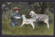 Young Boy Feeding Lamb /  Pet  Series 3708 F. Hartmann / Postcard Not Circulated, 2 Scans - Portraits