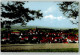 39459901 - Bonndorf Im Schwarzwald - Bonndorf