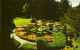 THE BUTCHART GARDENS,VICTORIA ,B.C. - CANADA - LOT DE 14 CARTES POSTALES - FLEURS - - 5 - 99 Karten