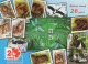 PESCADO Animales Vintage Tarjeta Postal CPSM #PBS890.ES - Vissen & Schaaldieren