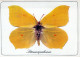 MARIPOSAS Animales Vintage Tarjeta Postal CPSM #PBS432.ES - Butterflies