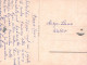 PFERD Vintage Ansichtskarte Postkarte CPSMPF #PKG936.DE - Pferde