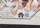 Malaysia 2nd International Tiger Forum 2022 Endangered Wildlife Year Lunar Tigers (ms MNH *O/P *odd Shape *unusual - Malasia (1964-...)